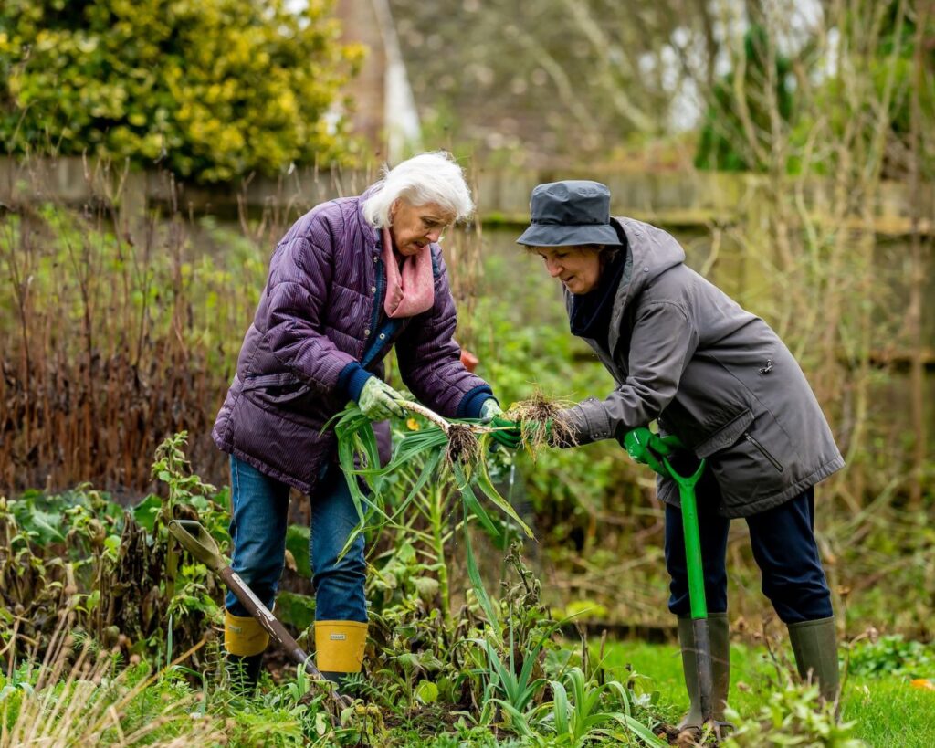 dos personas mayoresd haciendo actividades en el jardin o huerto